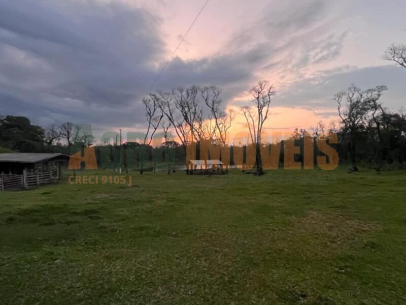 SÍTIO NO PINHÃO
