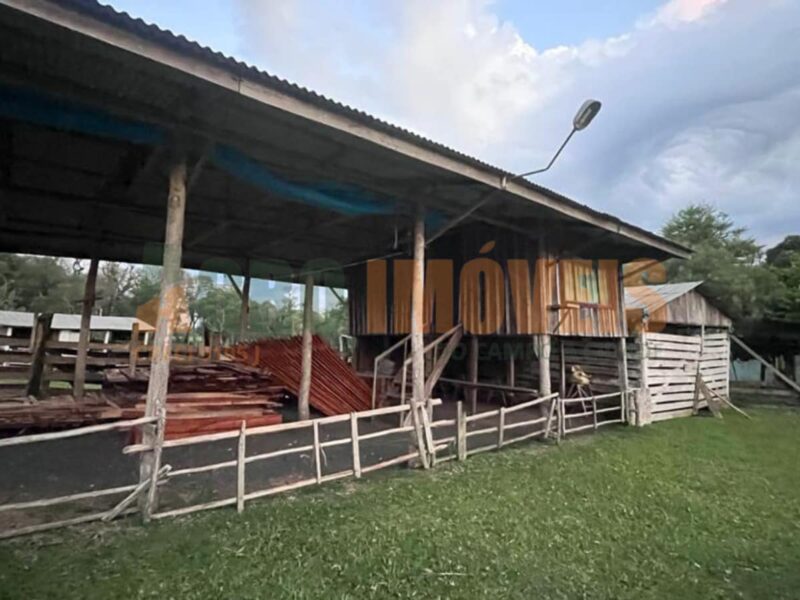 SÍTIO NO PINHÃO
