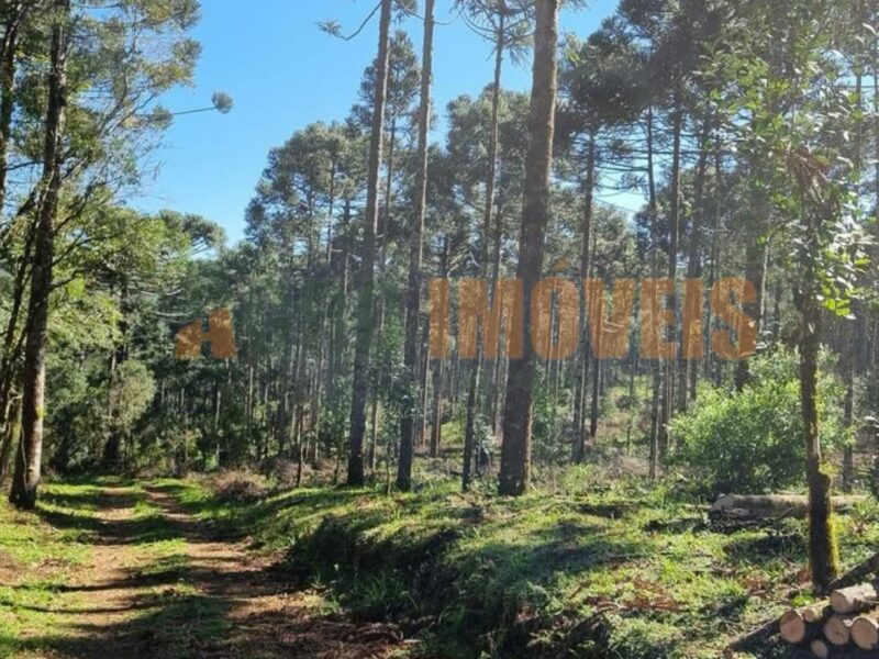 SÍTIO NO GUAIRACÁ