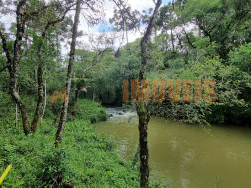 SÍTIO NO GUAIRACÁ