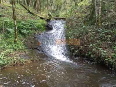 SÍTIO NA PALMEIRINHA