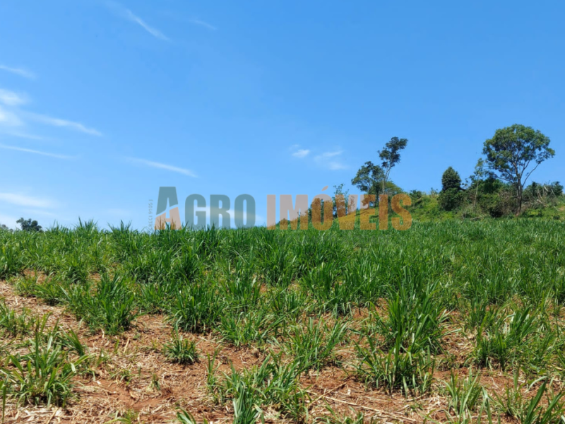 FAZENDA BARRA BONITA