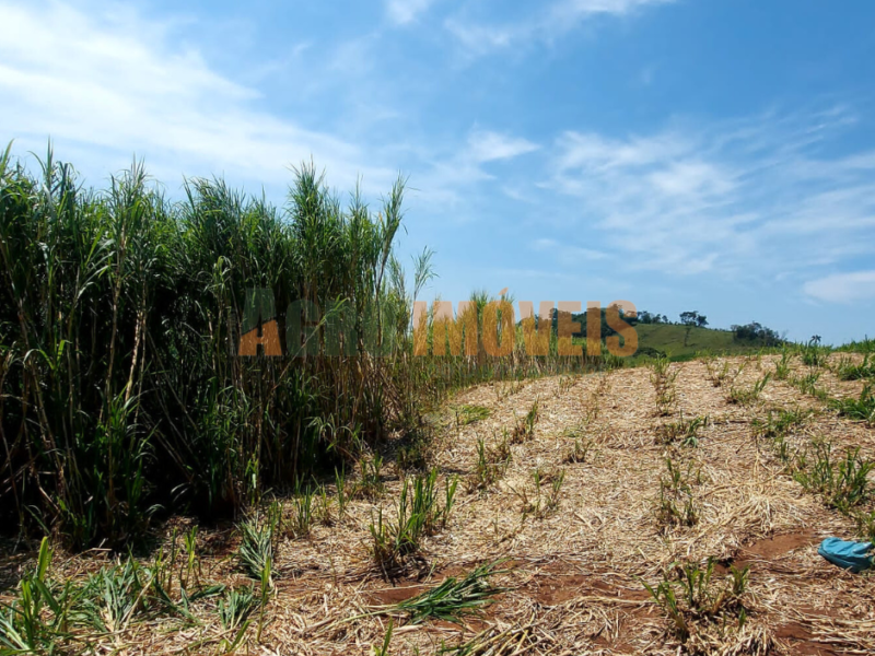 FAZENDA BARRA BONITA