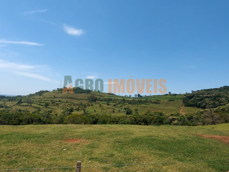 FAZENDA BARRA BONITA
