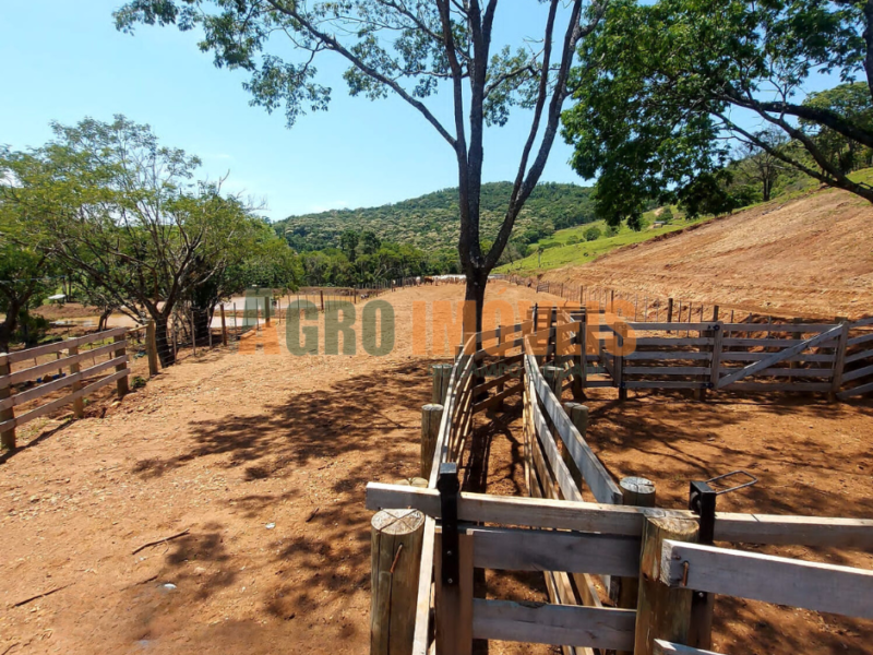FAZENDA BARRA BONITA