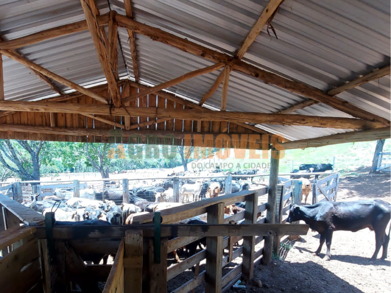FAZENDA BARRA BONITA