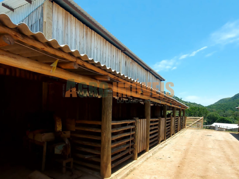 FAZENDA BARRA BONITA
