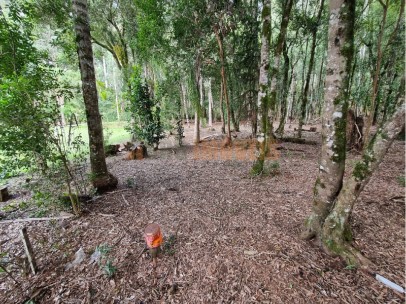 SÍTIO EM PRUDENTÓPOLIS