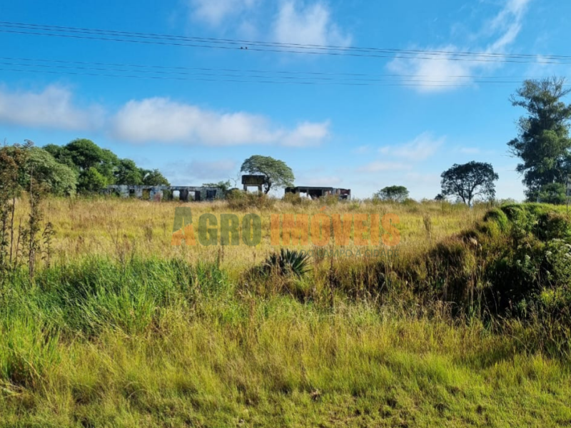 TERRENO DE FRENTE A BR 277 - KM 373