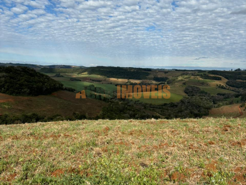 FAZENDA 156 ALQUEIRES