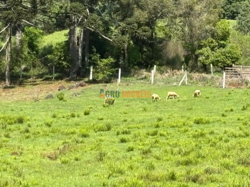 SÍTIO À VENDA NO JORDÃO