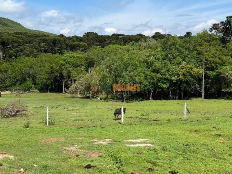 SÍTIO À VENDA NO JORDÃO