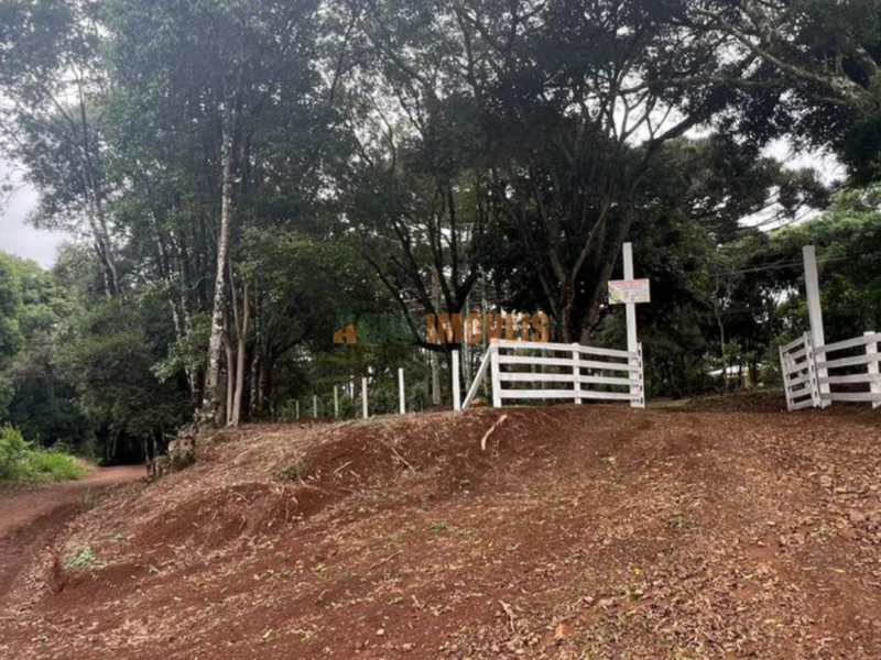 CHÁCARA À VENDA NA PALMEIRINHA