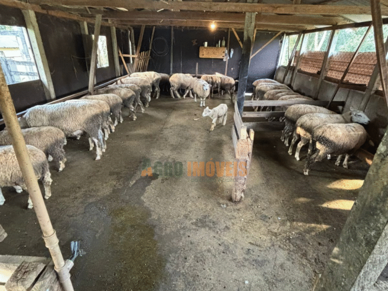 CHÁCARA À VENDA EM ENTRE RIOS