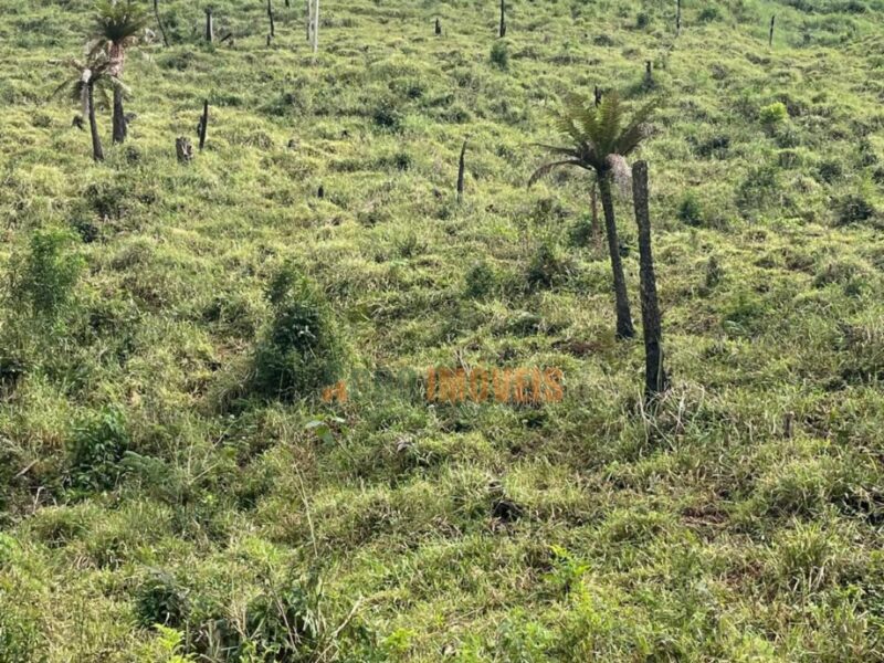 SÍTIO / CHÁCARA À VENDA – PINHÃO/PR