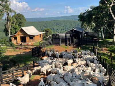 SÍTIO / CHÁCARA À VENDA – PINHÃO/PR