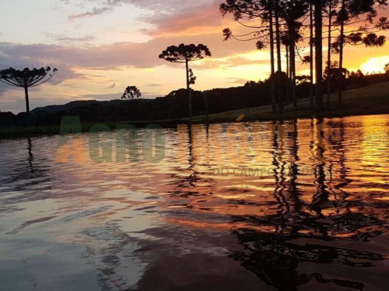 ÁREA RURAL NO JORDÃO