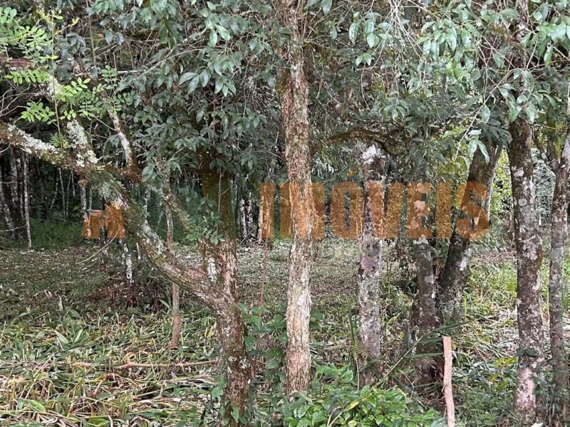 TERRENO À VENDA NO ALAGADO DO CANDÓI