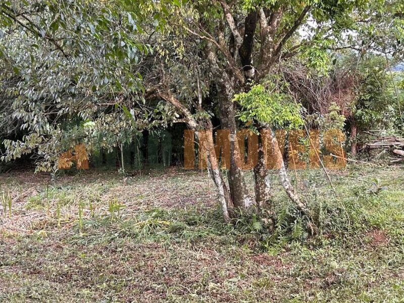 TERRENO À VENDA NO ALAGADO DO CANDÓI